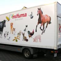  Autobeschriftung LKW